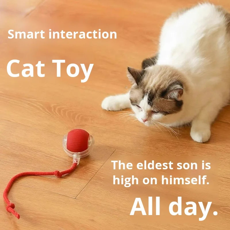 The latest indoor smart interactive cat toy electric cat tease toy silicone ball and tail pet interactive toy ball