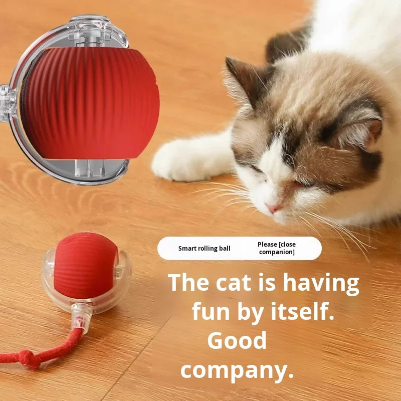 The latest indoor smart interactive cat toy electric cat tease toy silicone ball and tail pet interactive toy ball