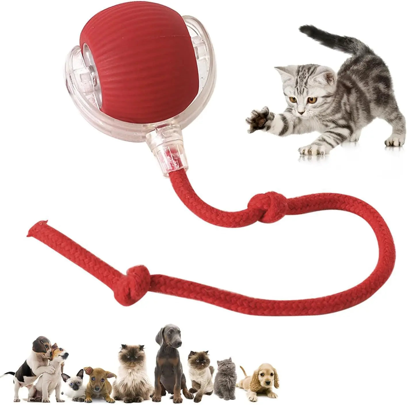 The latest indoor smart interactive cat toy electric cat tease toy silicone ball and tail pet interactive toy ball