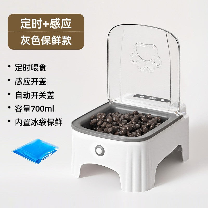 Cross-border explosive pet intelligent feeder cat supplies timing quantitative remote control automatic feeding camera