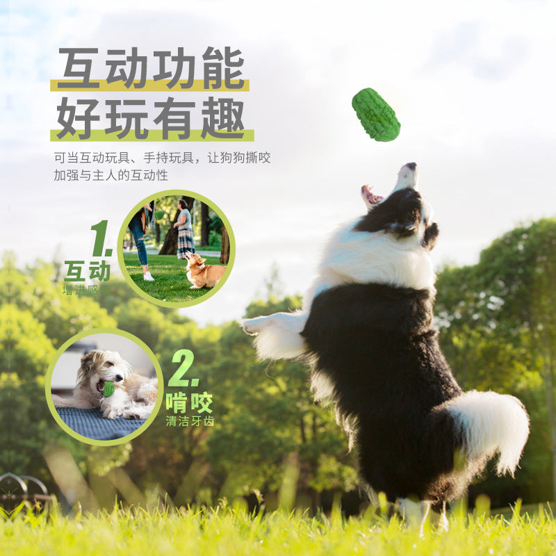 Bitter melon vegetable bio-based pet grinding teeth dog chewing to relieve boredom animal bite-resistant leakage toy