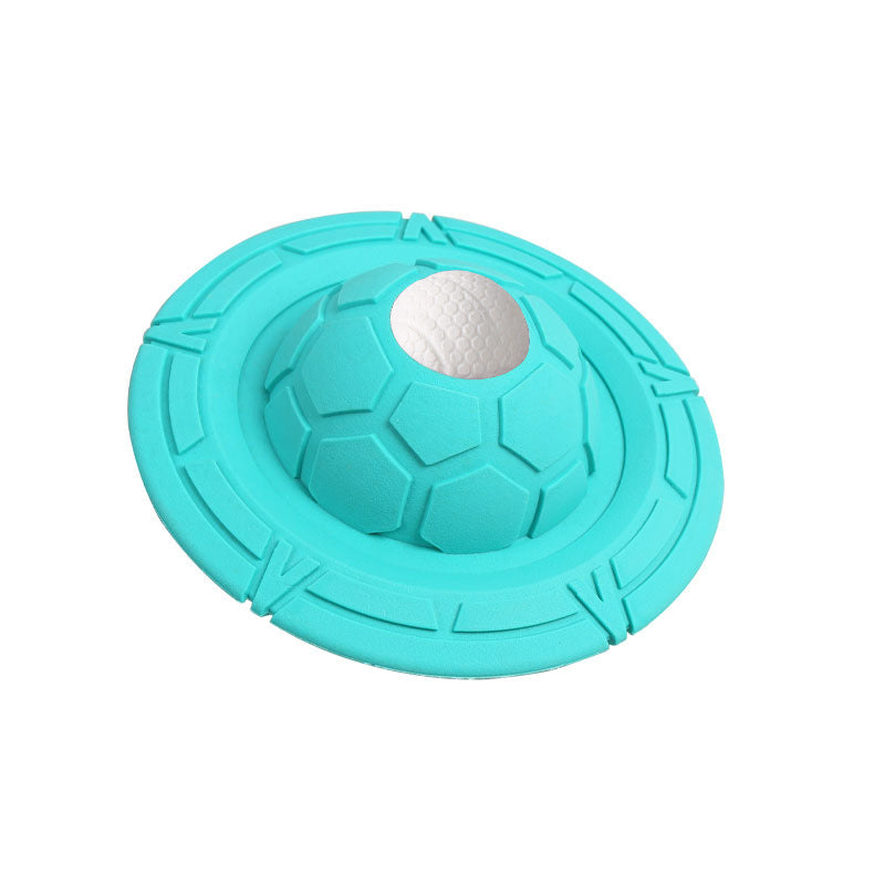 Custom Pet Toy Rubber Frisbee Tear and Bite Resistance Training Interactive Dog Frisbee Large Dog