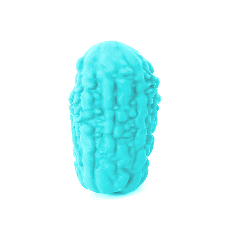 Bitter melon vegetable bio-based pet grinding teeth dog chewing to relieve boredom animal bite-resistant leakage toy