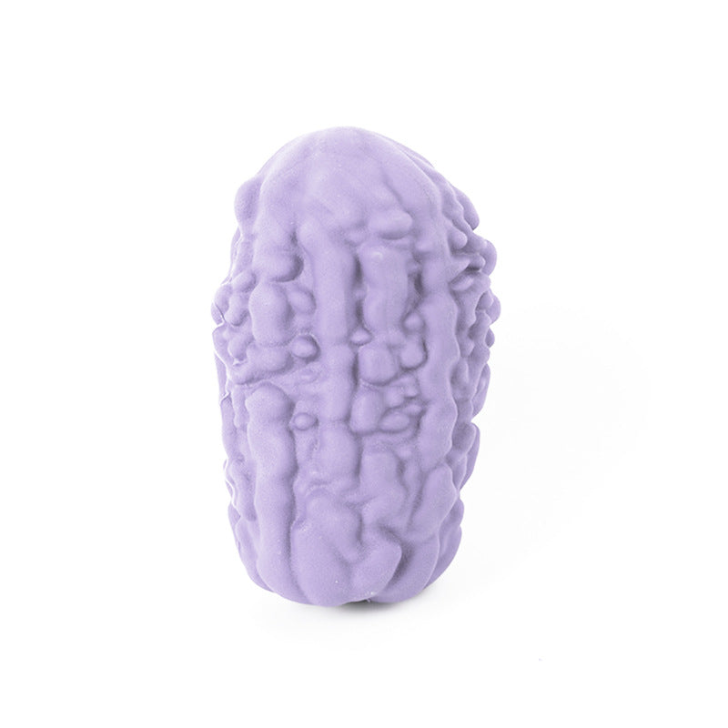 Bitter melon vegetable bio-based pet grinding teeth dog chewing to relieve boredom animal bite-resistant leakage toy