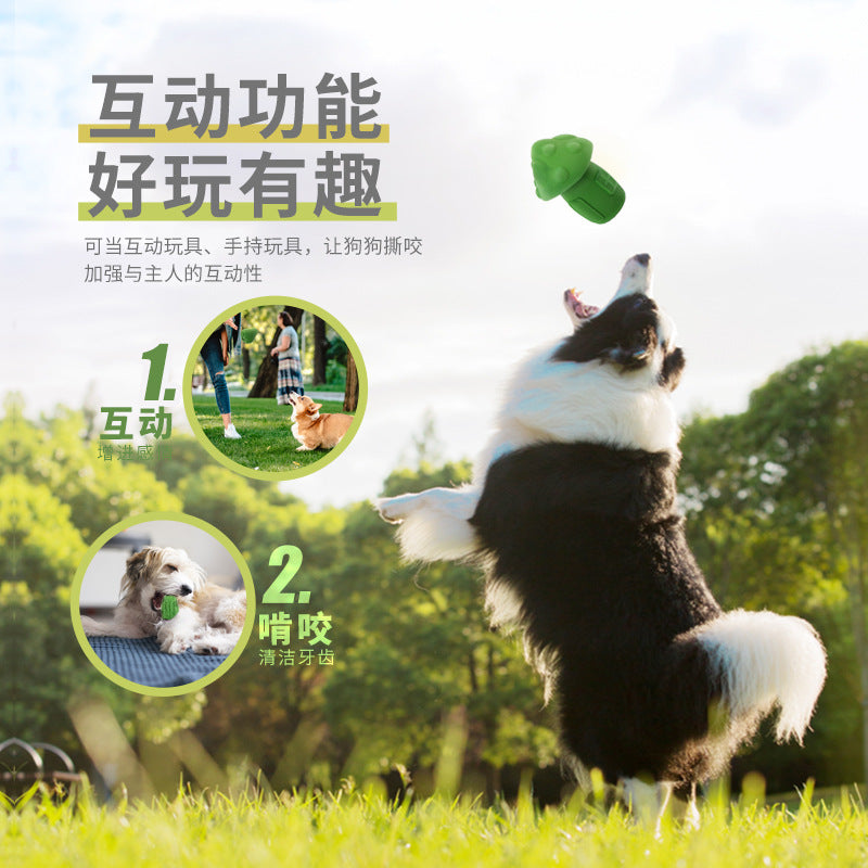 Bio-based, degradable pet molar toys, dog chewing fruit fun to relieve boredom, bite-resistant and leaking food toys