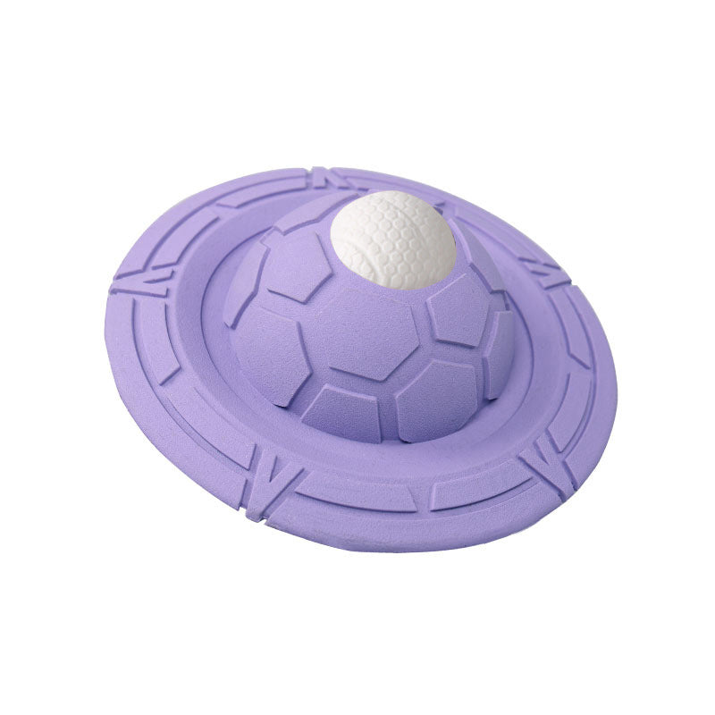 Custom Pet Toy Rubber Frisbee Tear and Bite Resistance Training Interactive Dog Frisbee Large Dog